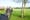 In Finglas, an effort to make a park safe for kids to run in